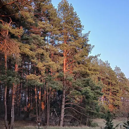 Zapach Lasu Naturalne Spa, Klimatoterapia, Basen, Sauna A02 شقة Karwica